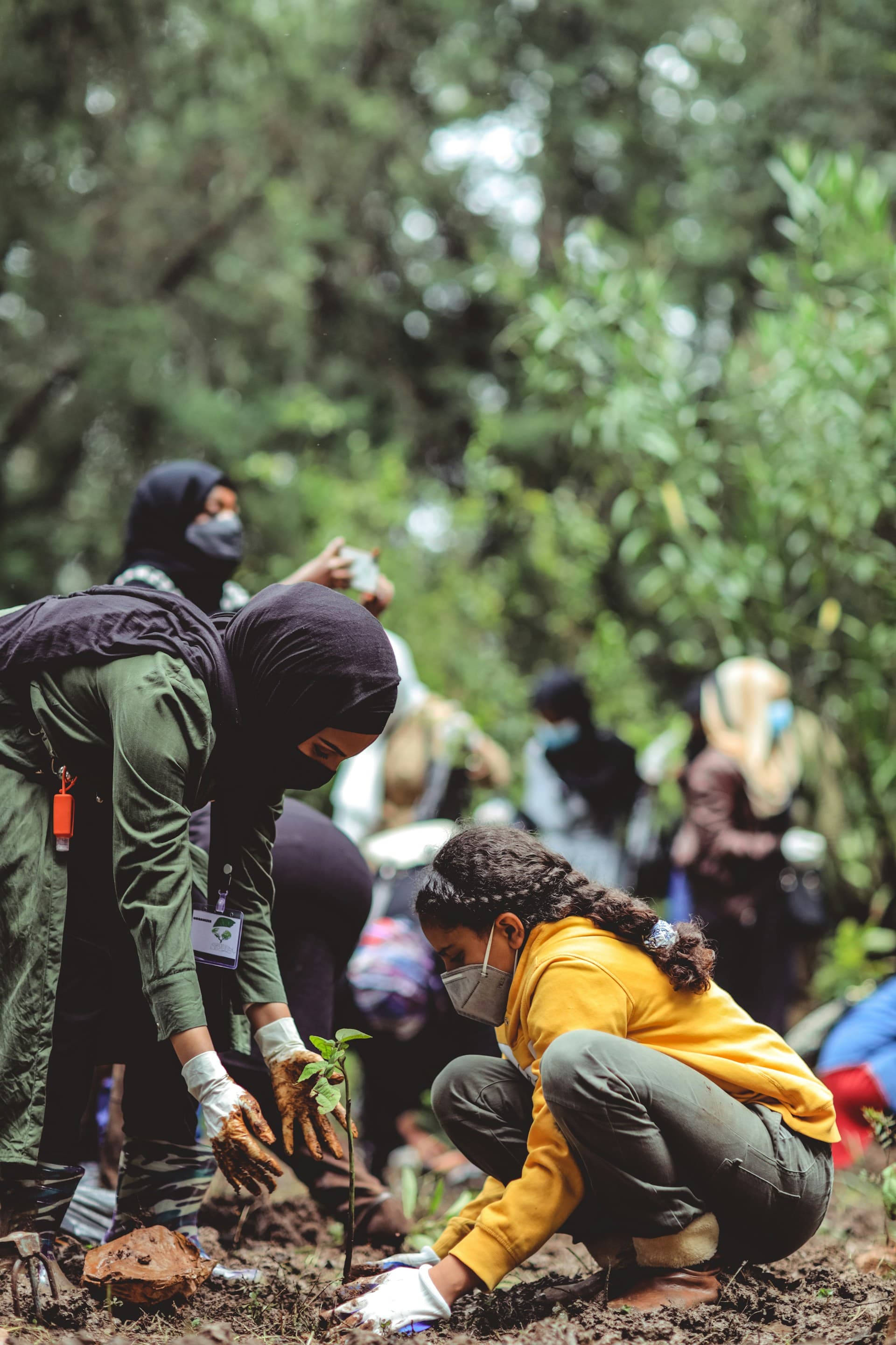 Women and children plant trees in a forested area